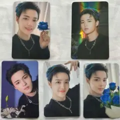 2025年最新】treasure ナイトガーデンの人気アイテム - メルカリ