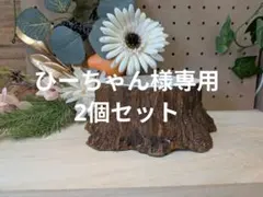 ひーちゃん様専用 植木鉢 2個セット