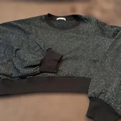 ショート丈　シルバーのラメ入　トレーナー