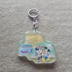 東京ディズニーリゾート ファンタジースプリングス キーホルダー