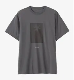 Goldwin ゴールドウイン ビジュアル エフェクト ロゴ Tシャツ グレー3