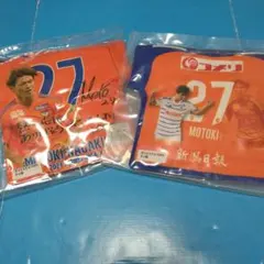 Item thumbnail for item 98ca2c30-7b6c-4c26-94bf-5ceb0cf80c66