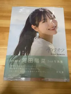 河田陽菜 テイクオフ