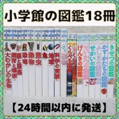 小学校館の図鑑Neo 17冊セット まとめ売り【24時間以内に発送】
