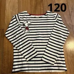 プティマイン スヌーピーコラボ 長袖 ロンT ボーダー 白×紺 120