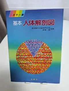 基本人体解剖図 カラー版