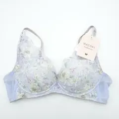 Item thumbnail for item 06684b6d-ebe9-4523-a34b-b2419ccde5f4