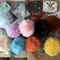 イーブイコレクション　キーホルダー　9種類