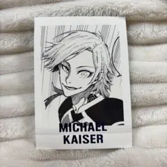 2026年最新】ぱしゃこれ カイザーの人気アイテム - メルカリ