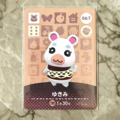 あつまれどうぶつの森 amiiboカード ゆきみ 067 あつ森③