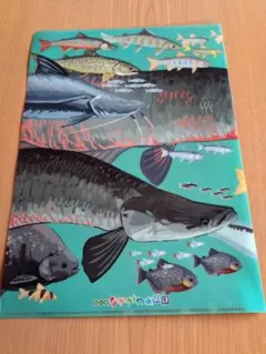 Item thumbnail for item b88dae3a-87fe-414b-8b51-bef6d78d9077