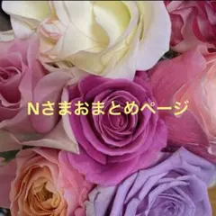 ノブ様 リクエスト 3点 まとめ商品