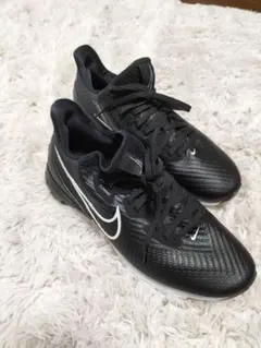 ✔NIKE✔ゴルフシューズ