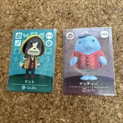 SP ケント　ナッティー