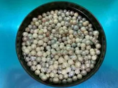 Item thumbnail for item 85732373-3469-4bab-8bb9-67c0b61891e8