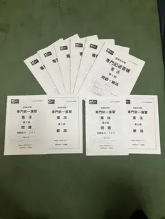 Item thumbnail for item 0528e4df-5dcf-414e-9441-191d05216afa