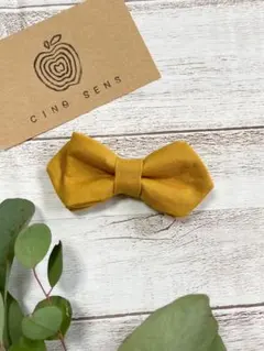 Item thumbnail for item 0af1bea9-fcec-46db-9680-8f66a27e9548