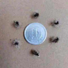 タキさん様 リクエスト 5点 まとめ商品