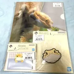 一番くじ　爬虫類＆両生類　アゴヒゲトカゲ　まとめ売り