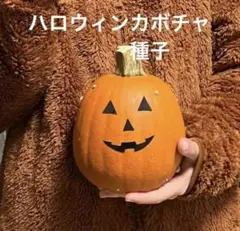 こいはなこ様 リクエスト 2点 まとめ商品