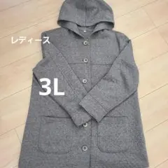 フード付きジャケット 3L