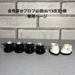 金魚草@プロフ必読(6/13改定)様専用ページ