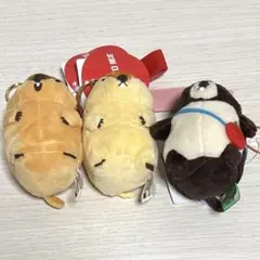マーモットのもっとっと ぬいぐるみマスコット 3種セット