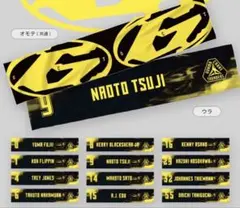 【新品】群馬クレインサンダーズ　N&Nショートループマフラー　辻直人