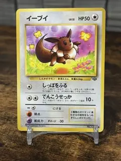 イーブイ ● 第2弾拡張パック ポケモンジャングル　旧裏