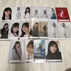 櫻坂46 生写真 まとめ売り 向井純葉