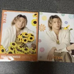 SUNFLOWER 瀬口黎弥 フォトカ シクレ セット