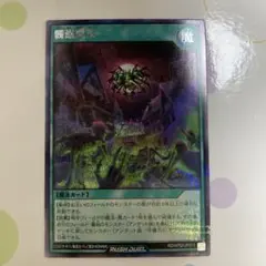 Item thumbnail for item 944aa40b-f546-4afb-8bec-21e0a813b490