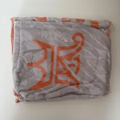 【嵐フェス 2012年 】 フード付きバスタオル