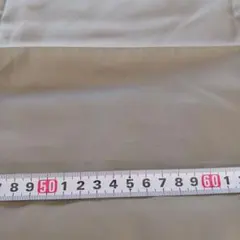 Item thumbnail for item 0bf59f6c-40db-4546-b4ae-cbd0d5738de5