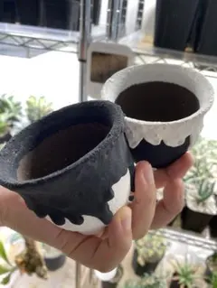 2025年最新】left botanicalの人気アイテム - メルカリ