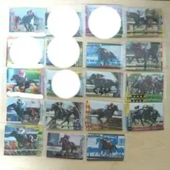 サラブレッドホースコレクション第1R ノーマルカード ナンバリング1~15