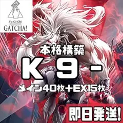 大会優勝構築 K9デッキ ヨクル ランタン イヅナ ウェアウルフ リッパー