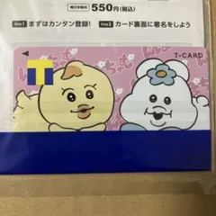 んぽちゃむTカードTポイントＶポイントＶカード