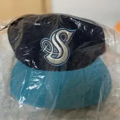 2025年最新】湘南シーレックス キャップの人気アイテム - メルカリ