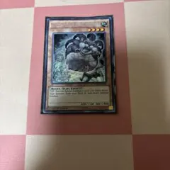 北米版 素早いビッグハムスター ABPF 1st スーパー 遊戯王 海外 英語