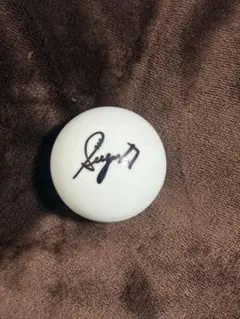 2026年最新】山本すず サインの人気アイテム - メルカリ