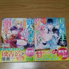 ベリーズ文庫 2冊セットA-8