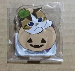 mofusand 販促 アクリルスタンド ハロウィンにゃん