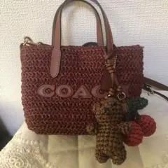 COACH Straw Strawberry Embroidery Tote - メルカリ