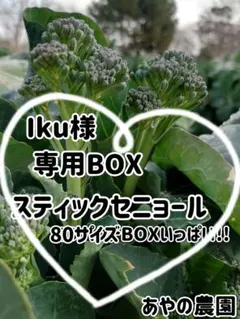 Iku様専用BOX