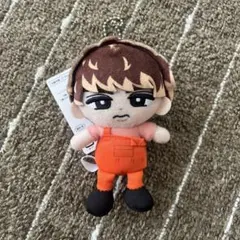 ぬいぐるみ 向井康二 - メルカリ