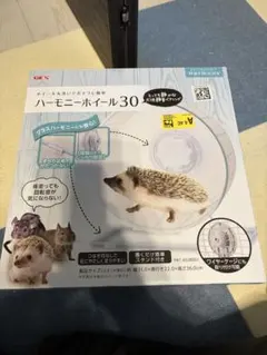 Item thumbnail for item 7b32240f-ed9b-4137-b8b1-777ca9750e06