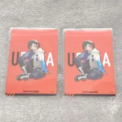 Crazy Raccoon CRチップスステッカー uruca うるか