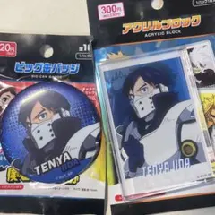 飯田天哉 (保護シート付)