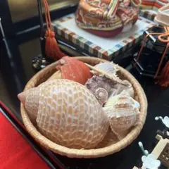 雛道具 浜土産 ひな飾りひな人形 貝細工 アンティーク 飾り